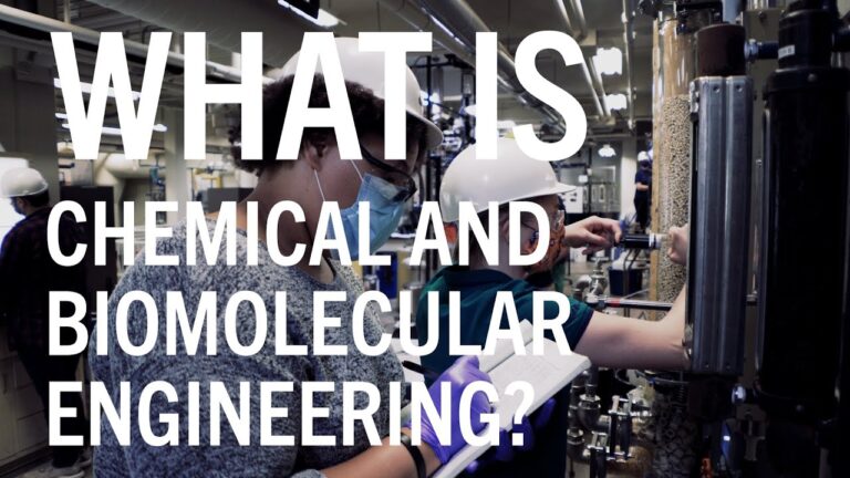 Biomolecular Engineering: Job Description & Salary Overview